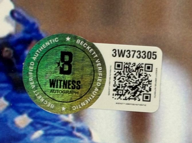 Kyle Tucker Signed Framed 16x20 Chicago Cubs Blue Jersey Photo BAS