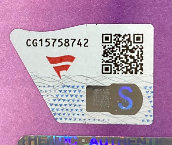 Rhea Ripley Signed Framed 16x20 WWE Survivor Series Photo Fanatics