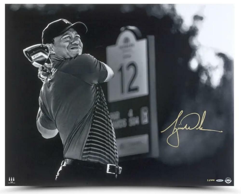 Tiger Woods Autographed "Gold Drive" 30" x 24" Photograph LE 100 UDA