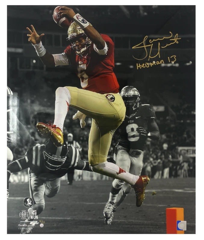 Jameis Winston Signed / Inscribed FSU Seminoles 20 x 24 Photo Steiner LE 13