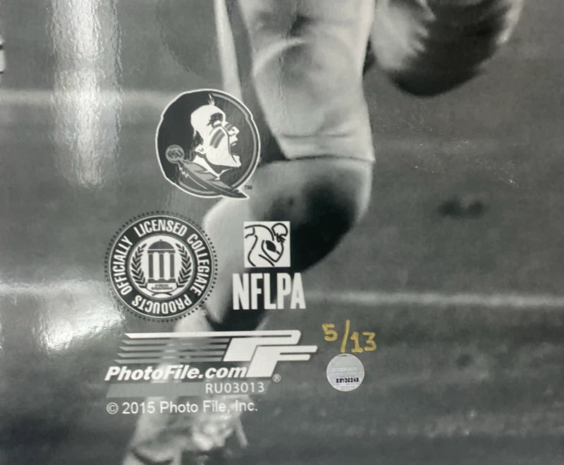 Jameis Winston Signed / Inscribed FSU Seminoles 20 x 24 Photo Steiner LE 13
