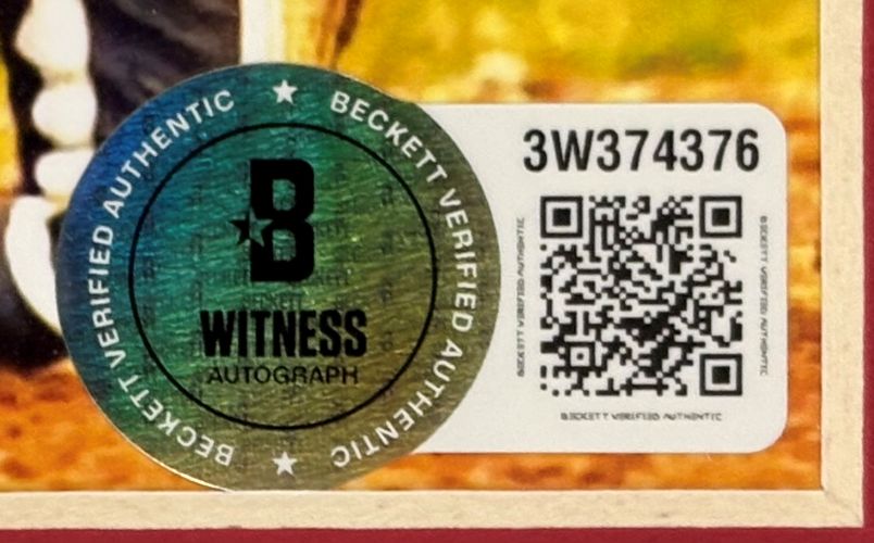 Sammy Sosa Signed Framed 8x10 Chicago Cubs Photo BAS