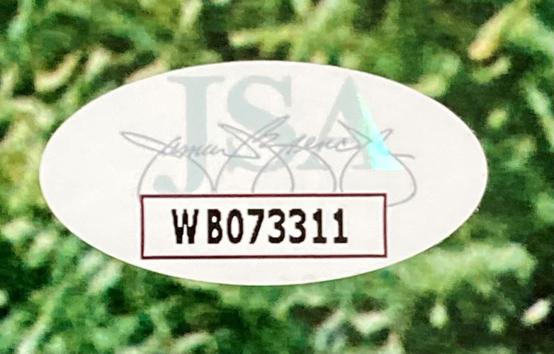 A white oval JSA sticker with black code WB073311 and a script signature appears on The Sandlot Cast Signed Framed 16x20 Photo by Sports Integrity, set against a green leafy background.