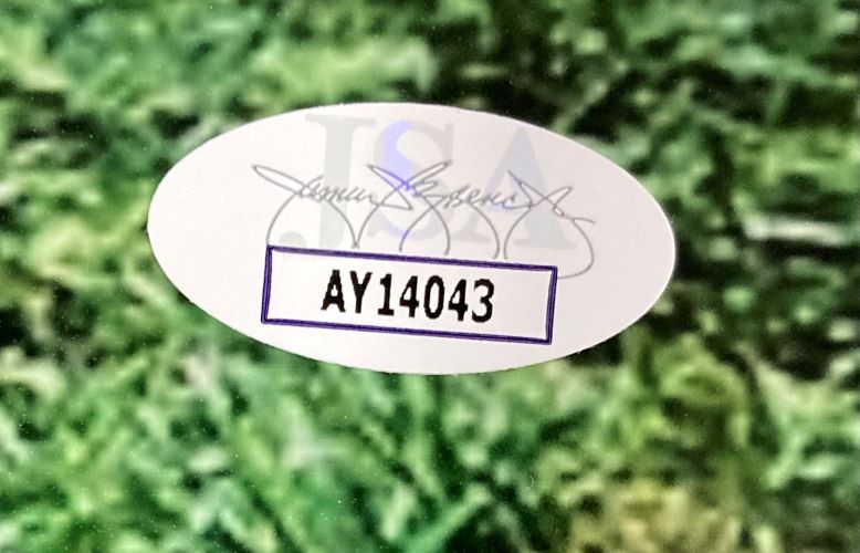 Sports Integrity The Sandlot Cast Signed 16x20 Photo features signatures from Patrick Renna, Tom Guiry, and 6 others, authenticated by JSA with a black AY14043 sticker and faint signature, set against a green blurred background.