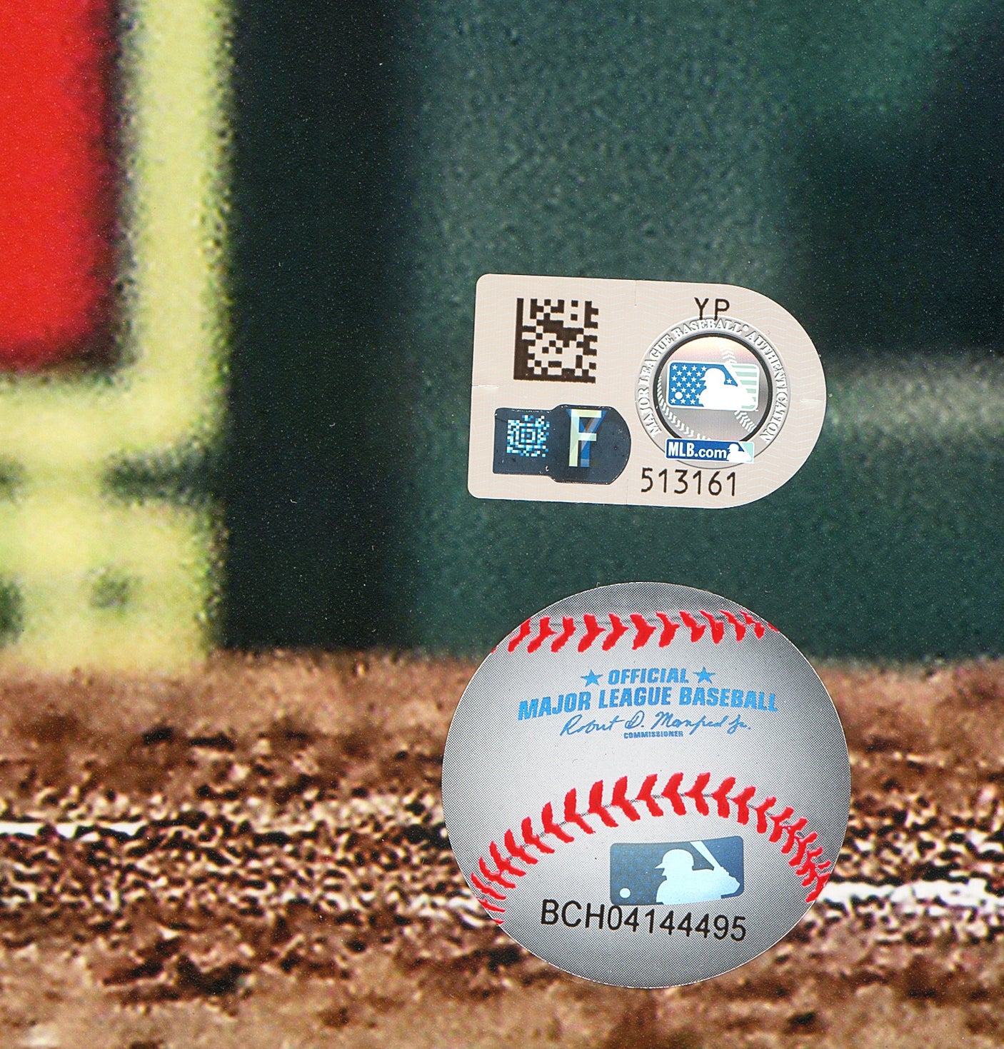 Jasson Dominguez Autographed 16x20 Photo New York Yankees Fanatics & MLB Holo Stock #223746