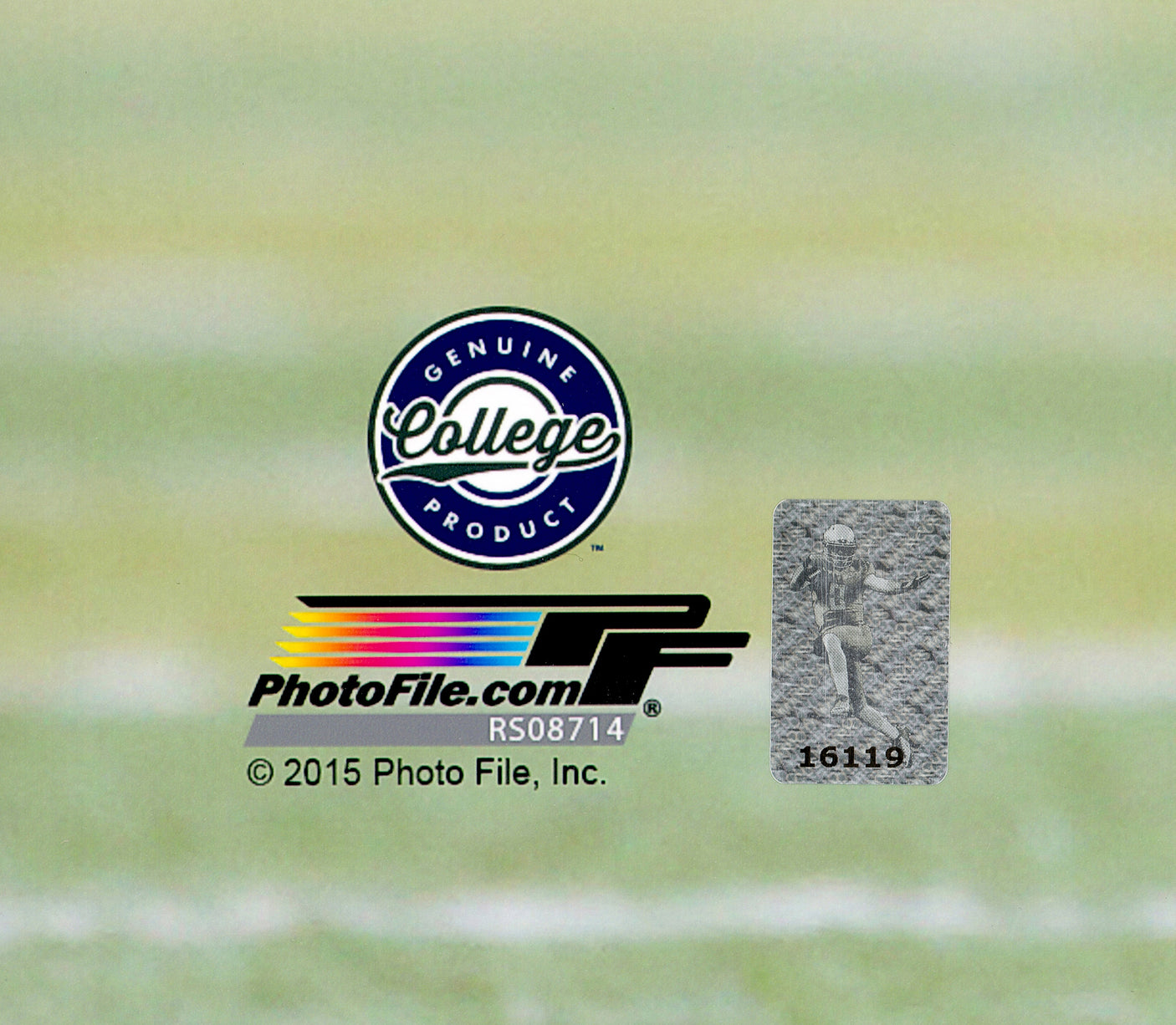 Marcus Mariota Autographed 16x20 Photo Oregon Ducks MM Holo Stock #87196