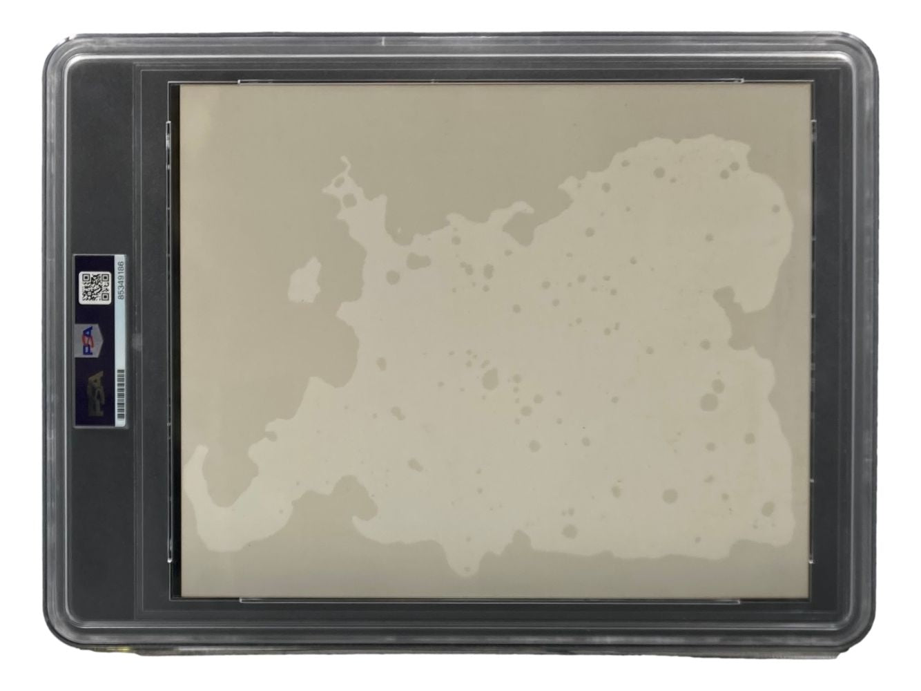 A Sports Integrity Ted Williams Stan Musial Signed Slabbed 8x10 Photo, graded PSA NM-MT 8, features autographs and comes in a clear protective holder with a grading label on the left side.