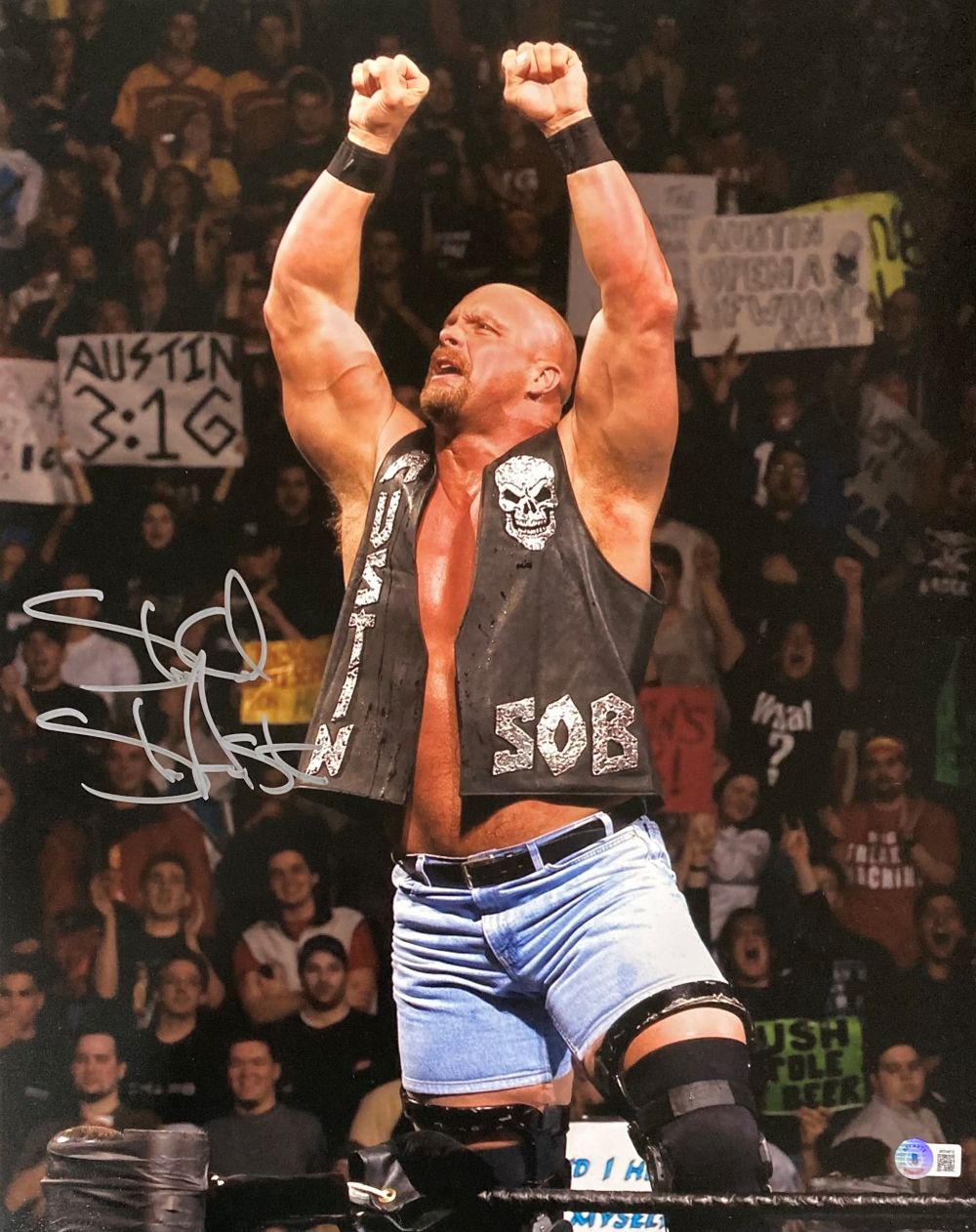 A signed 16x20 photo from Sports Integrity shows Stone Cold Steve Austin in a black Austin 3:16 vest, arms raised triumphantly in a packed arena, with fans and an Austin 3:16 sign visible in the background.