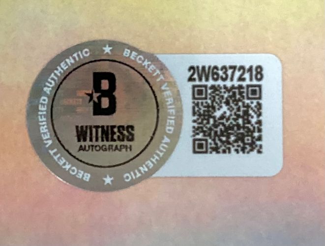 Troy Polamalu Signed Framed 16x20 Pittsburgh Steelers Sack vs Ravens Photo BAS