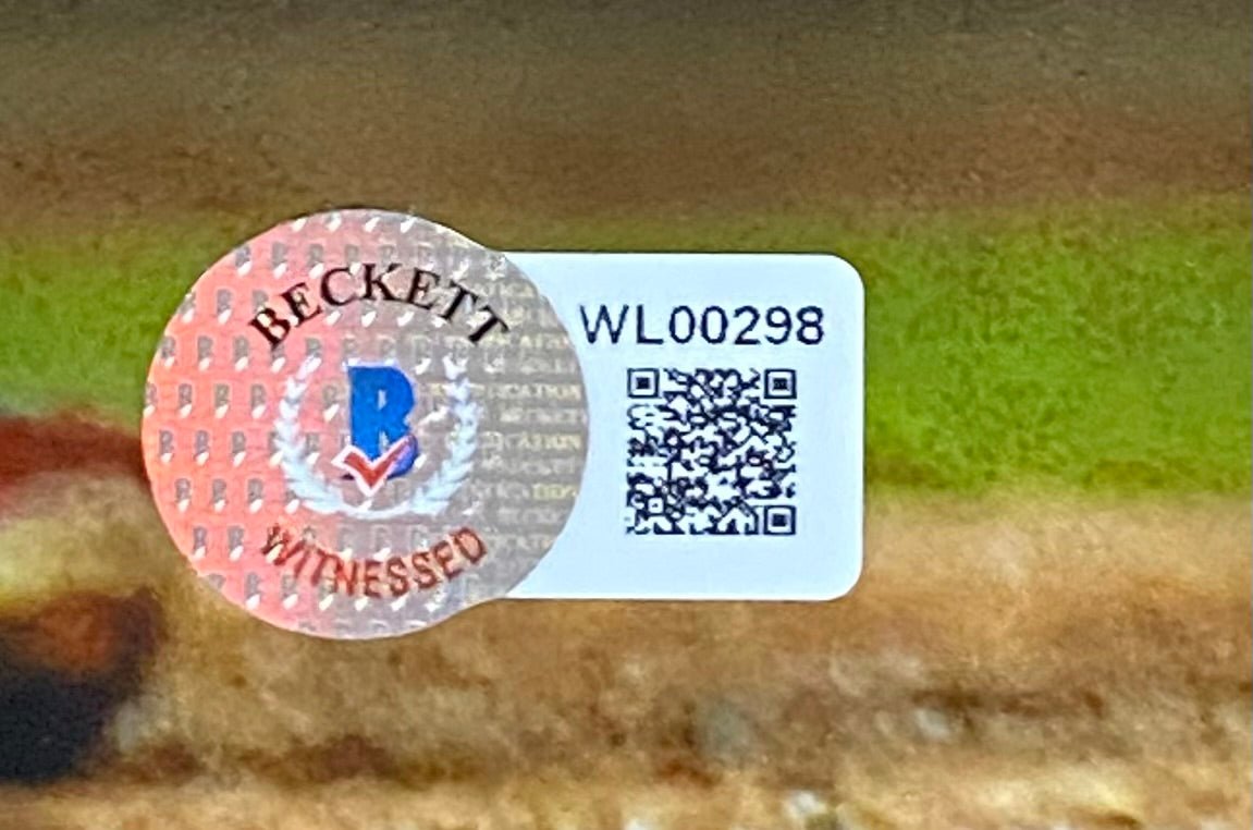 Vladimir Guerrero Jr. Signed 16x20 Toronto Blue Jays Photo BAS ITP - Sports Integrity