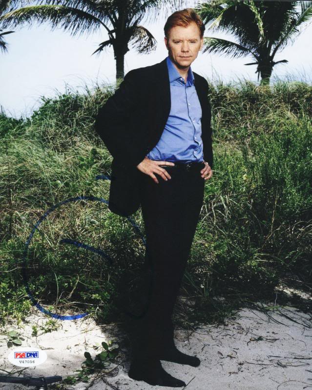David Caruso Csi Miami Signed Authentic 8X10 Photo Autographed PSA/DNA #V47056