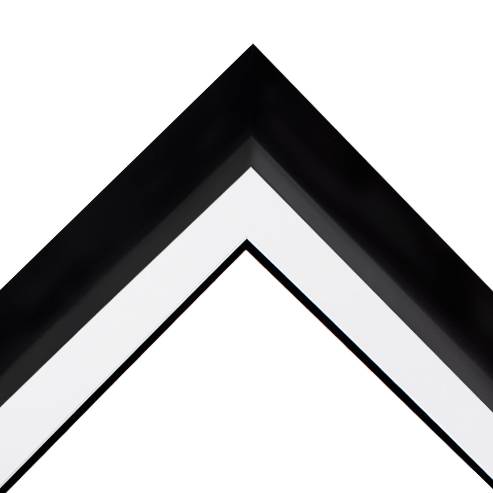 Custom DIY Frame for 8x10 Photo - Premium Black 2" Frame with White/Black Double Matting (Overall Dimensions 14.5" x 17.5") - PristineMarketplace