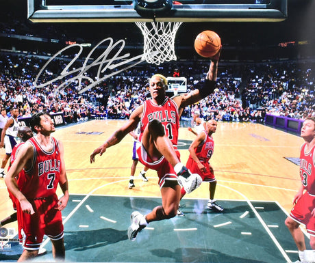 Dennis Rodman Autographed Bulls 16x20 Rebound Photo - Beckett W Hologram *Silver Image 1
