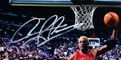 Dennis Rodman Autographed Bulls 16x20 Rebound Photo - Beckett W Hologram *Silver Image 2