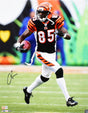 Chad Johnson Autographed Cincinnati Bengals 16x20 Running Photo- Beckett W Hologram *Black Image 1