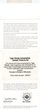 Tiger Woods Signed & Framed 32x40 "Sunset" Canvas LE #467/500 UDA #BAJ22806