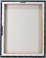 Davante Adams Signed Green Bay Packers Framed 16x20 Stretched Canvas-BA W Holo