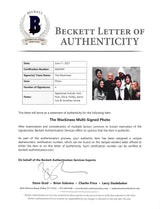 The Wackiness (4) Peck, Thirlby, Yoo & Levine Signed 12x18 Photo BAS #AA03491