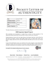 WWE Superstars (64) Cena, Edge, Sheamus, Mysterio, Signed 2010 WWE Program BAS