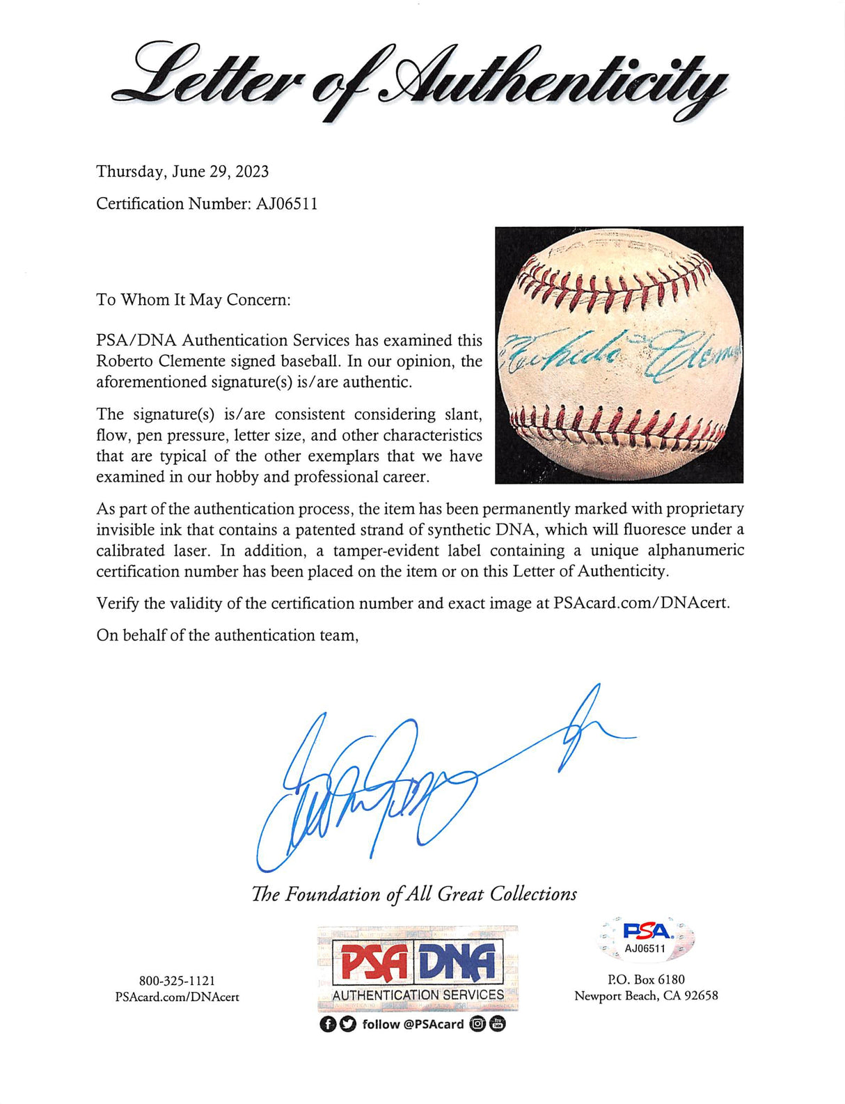Pirates Roberto Clemente Authentic Signed Baseball Autographed PSA/DNA #AJ06511