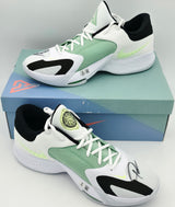 Giannis Antetokounmpo Autographed GREEK COASTLINE Nike ZOOM FREAK 4 Shoes Milwaukee Bucks Size 16 (With Box) Beckett BAS Witness #3W396596 & #3W396597