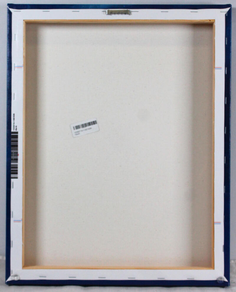 DK Metcalf Signed Seattle Seahawks Framed 16x20 Stretched Canvas-Beckett W Holo