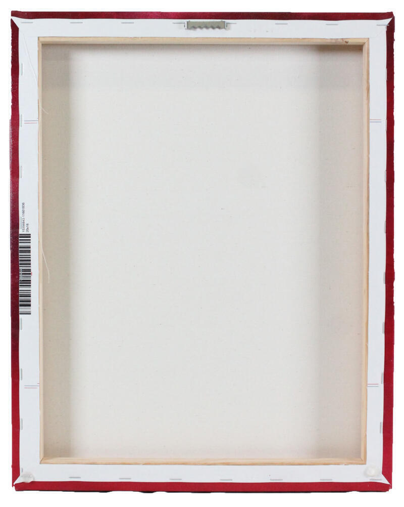 George Kittle Signed 49ers Framed 16x20 Stretched Canvas-Beckett W Hologram