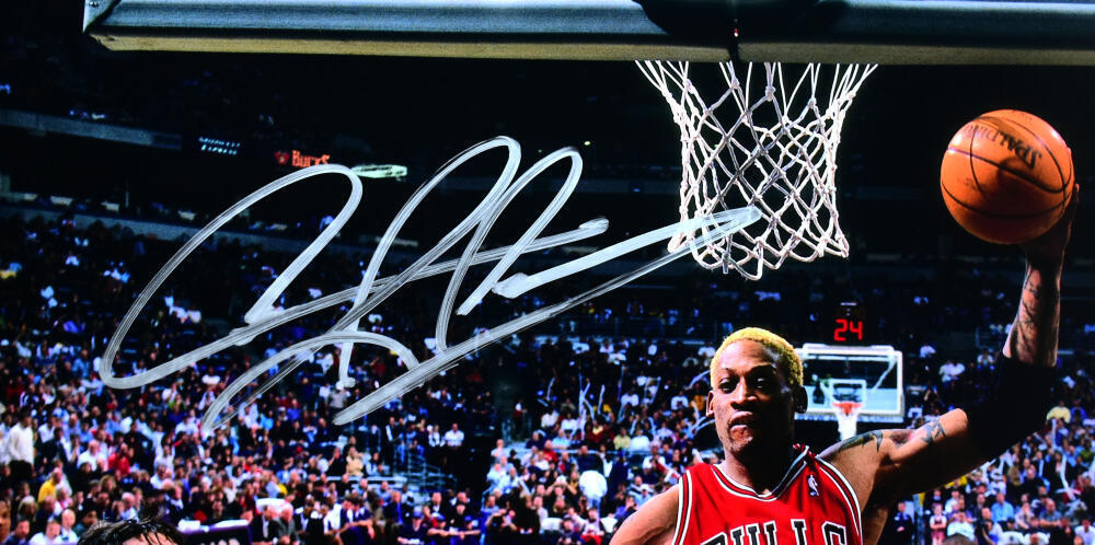 Dennis Rodman Autographed Bulls 16x20 Rebound Photo - Beckett W Hologram *Silver