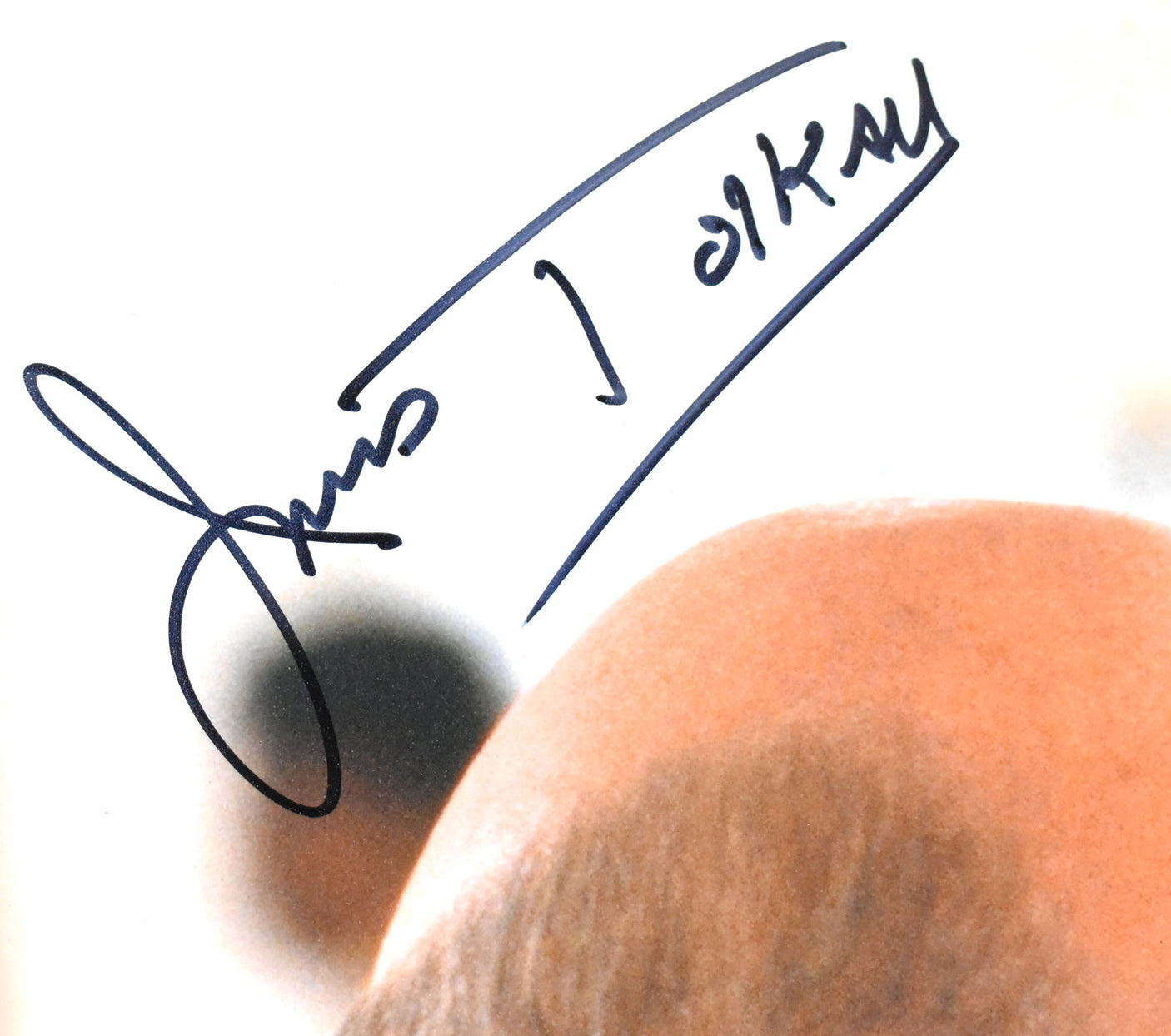 James Tolkan Autographed 16x20 BTTF Photo Slacker *Smeared - Beckett W Holo