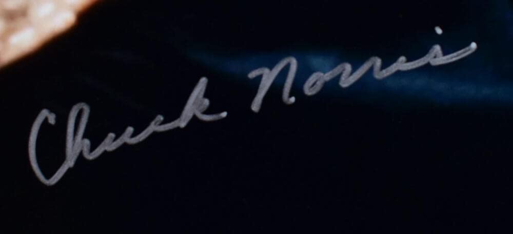 Chuck Norris Autographed 16x20 The Way of the Dragon Photo- JSA W *Silver