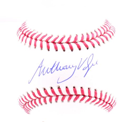 Anthony Volpe Autographed OML Baseball - Fanatics *Blue