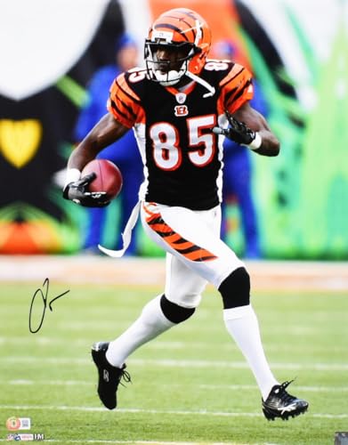 Chad Johnson Autographed Bengals 16x20 Running Photo- Beckett W Hologram *Black