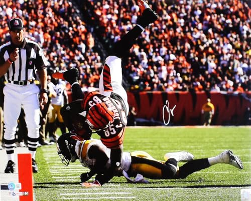 Chad Johnson Autographed Cincinnati Bengals 16x20 Tackled Photo- Beckett W Holo