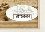 A white oval WIT561670 sticker with overlapping signatures and faint JSA letters is affixed to a Sports Integrity Miguel Cabrera Signed Framed 16x20 Detroit Tigers Spotlight Photo.