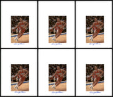 Lenny Wilkens Autographed 8.5x11 Photo 12 Count Lot Portland Blazers SKU #194011