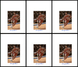 Lenny Wilkens Autographed 8.5x11 Photo 12 Count Lot Portland Blazers SKU #194011