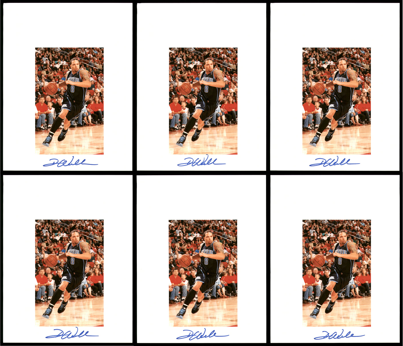Deron Williams Autographed 8.5x11 Photo 12 Count Lot Utah Jazz SKU #194023
