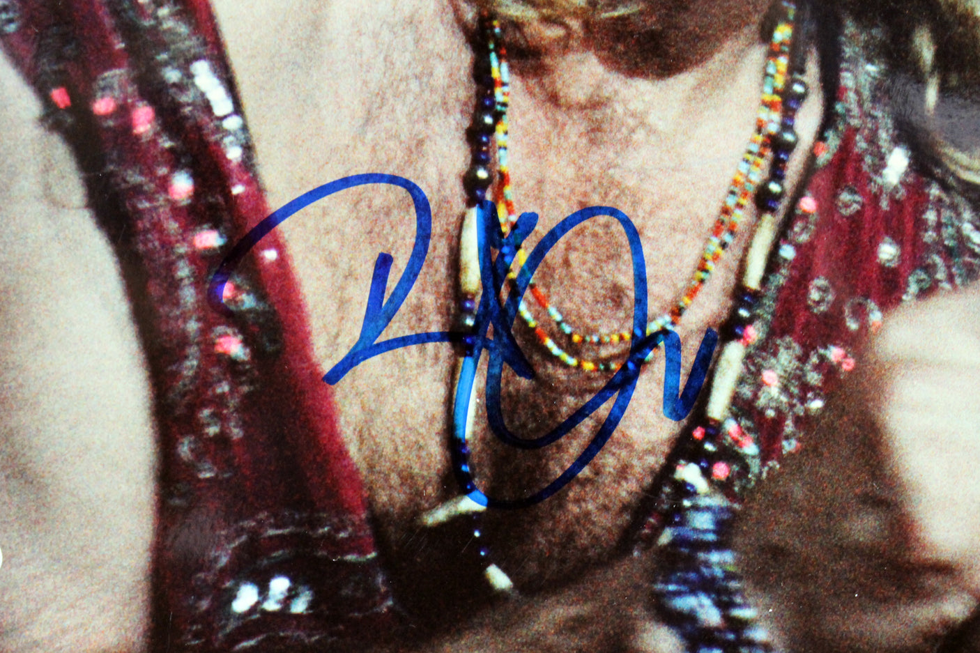 Robert Plant Led Zeppelin Authentic Signed 12x17 Photo Autographed BAS #C54110