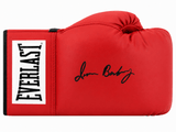 Iran Barkley Signed Everlast Red Boxing Glove