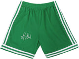 Larry Bird Signed Boston Celtics Green 1985-86 Style Mitchell & Ness NBA Basketball Shorts