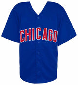 Alex Bregman Signed Blue Custom Baseball Jersey - (Beckett)