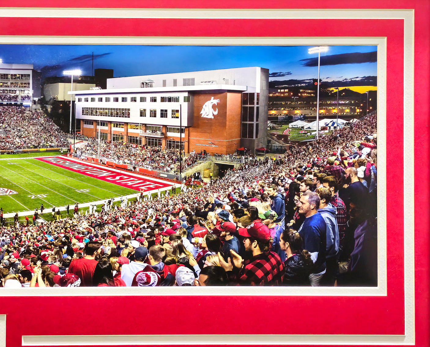 Unsigned Framed 12x36 Panoramic Photo Washington State Cougars College Gameday Win vs Oregon Stock #235673