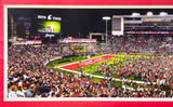 Unsigned Framed 12x36 Panoramic Photo Washington State Cougars Storm the Field Stock #235674