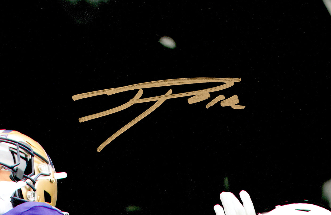 Ja'Lynn Polk Autographed 16x20 Photo Washington Huskies vs. Oregon Spotlight MCS Holo Stock #222059