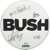 Bush Autographed Drumhead Signed By All 4 Band Members Including Gavin Rossdale Beckett BAS Stock #237003