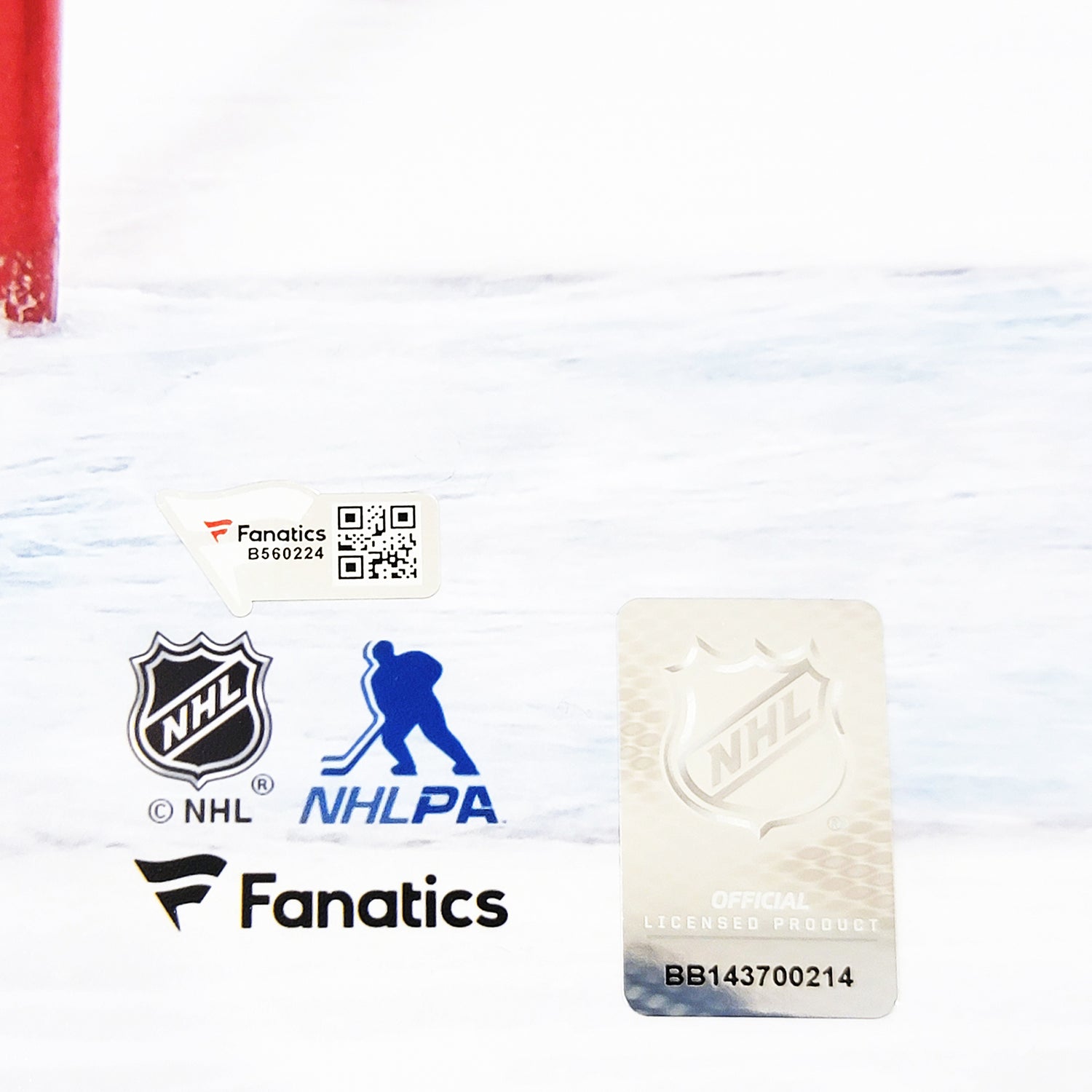 Jordan Eberle Autographed 16x20 Photo Seattle Kraken Jumping Fanatics Holo Stock #211621