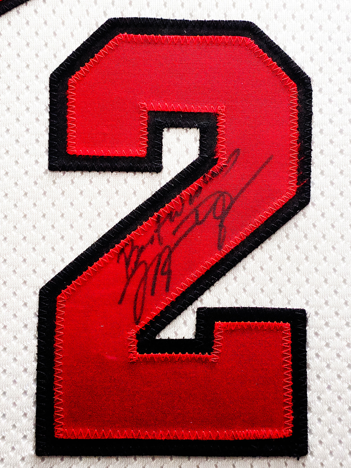 Michael Jordan Autographed Framed White Nike Jersey Chicago Bulls "Best Wishes" JSA #YY39497