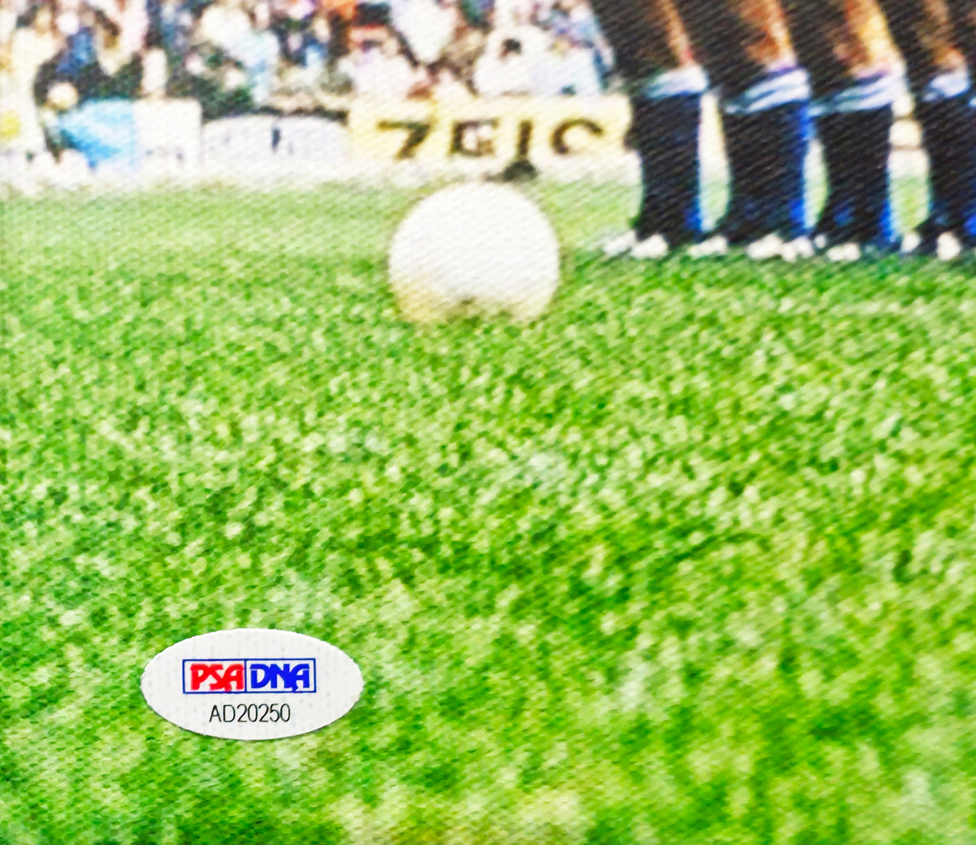 Pele Autographed Framed 16x23.5 Framed Canvas CBD Brazil PSA/DNA #AD20250