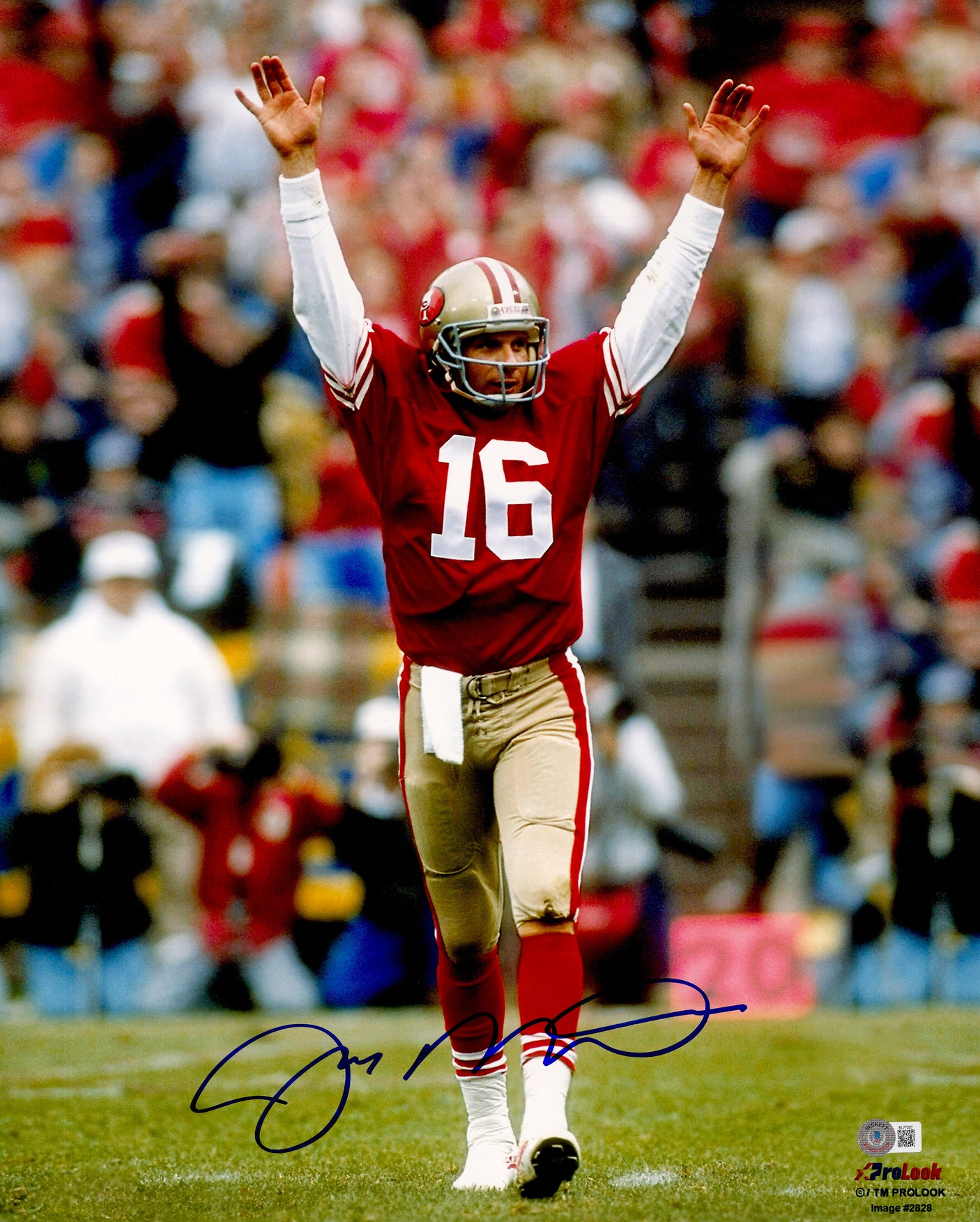 Joe Montana Autographed 16x20 Photo San Francisco 49ers Beckett BAS QR Stock #238334