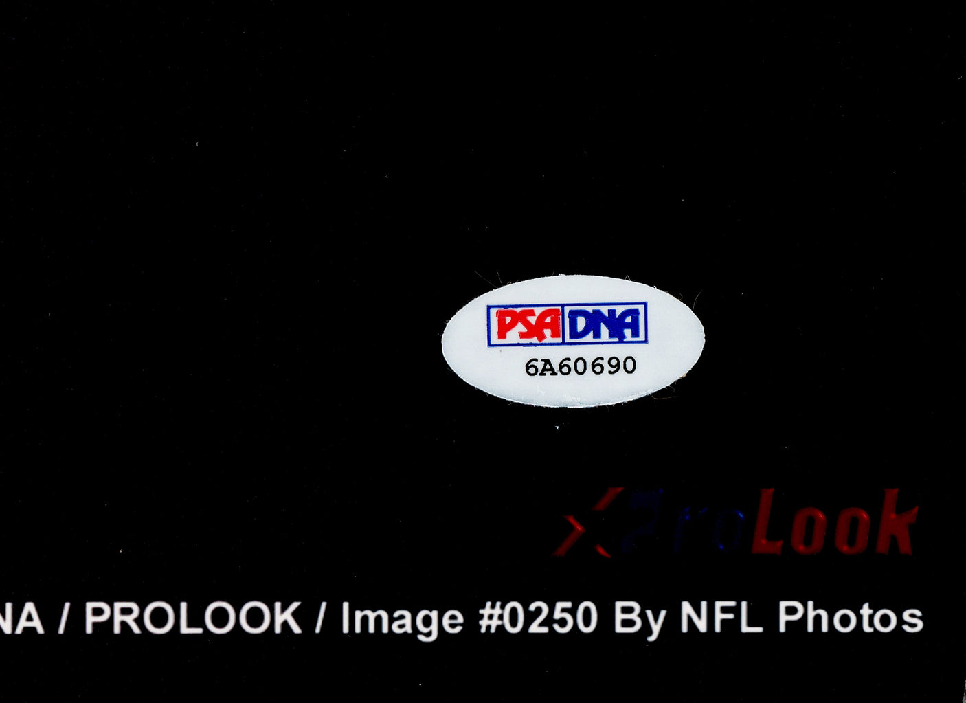 Joe Montana Autographed 16x20 Photo San Francisco 49ers PSA/DNA Stock #238337